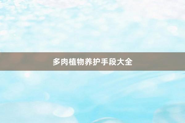 多肉植物养护手段大全