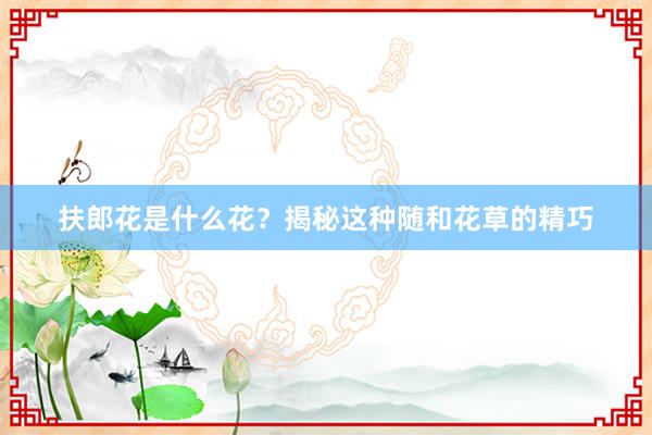 扶郎花是什么花?揭秘这种随和花草的精巧