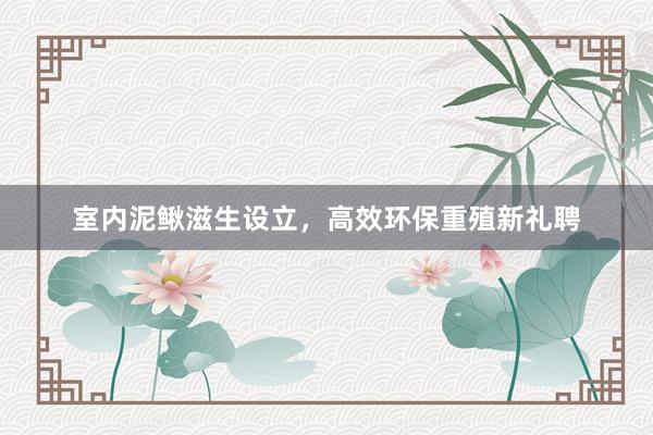 室内泥鳅滋生设立，高效环保重殖新礼聘